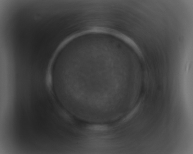 X0000101401280200807071210