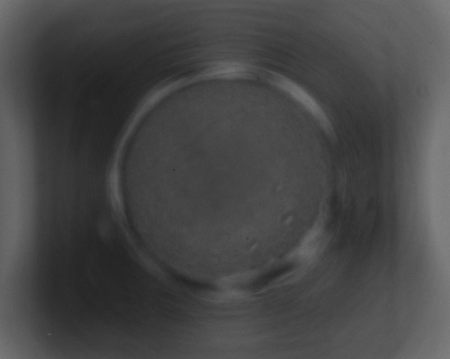 X0000101401283200807071210