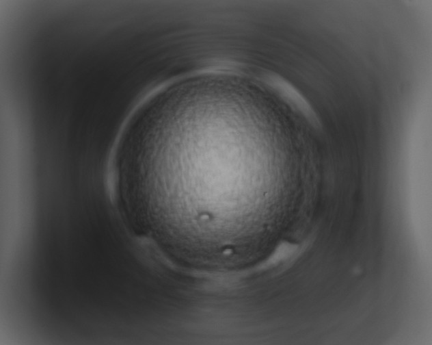 X0000101401284200807071210