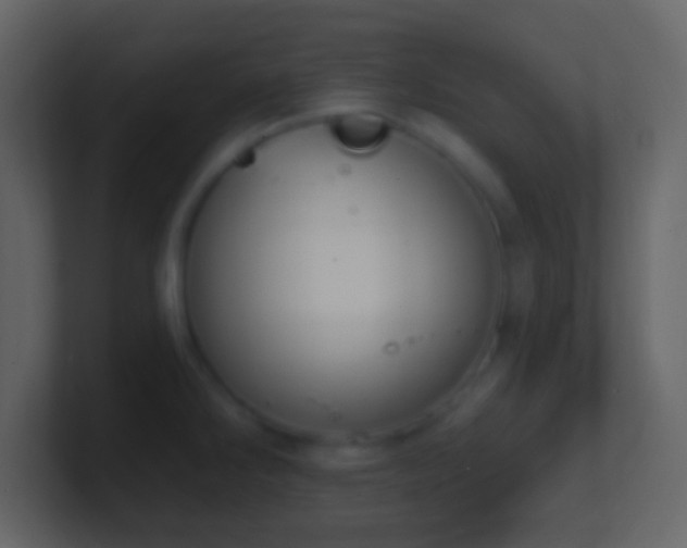 X0000101401286200807071210