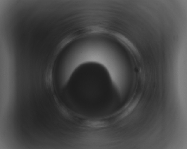 X0000101401289200807071210