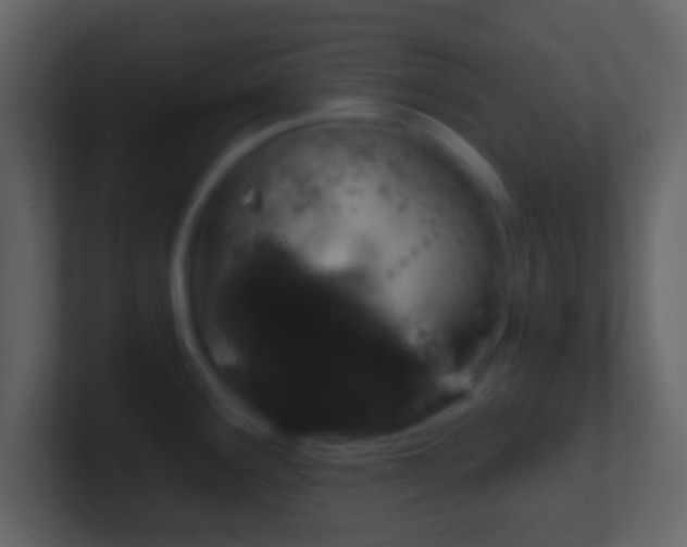 X0000101401291200807071210