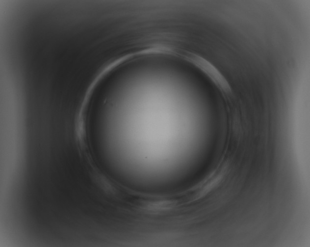 X0000101401292200807071210