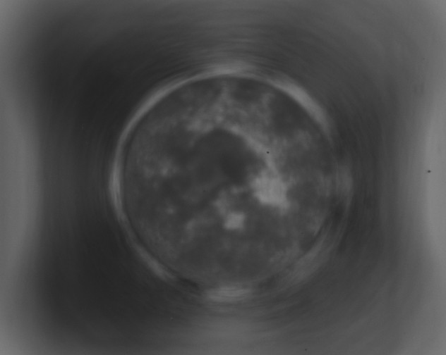 X0000101401294200807071210