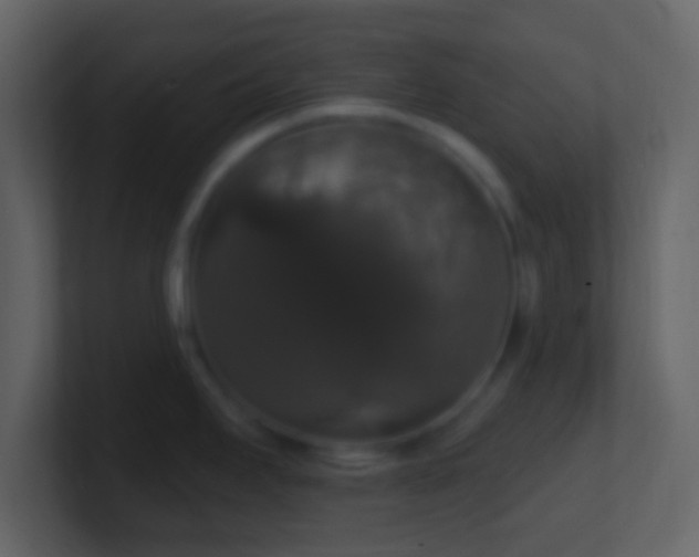 X0000101401295200807071210