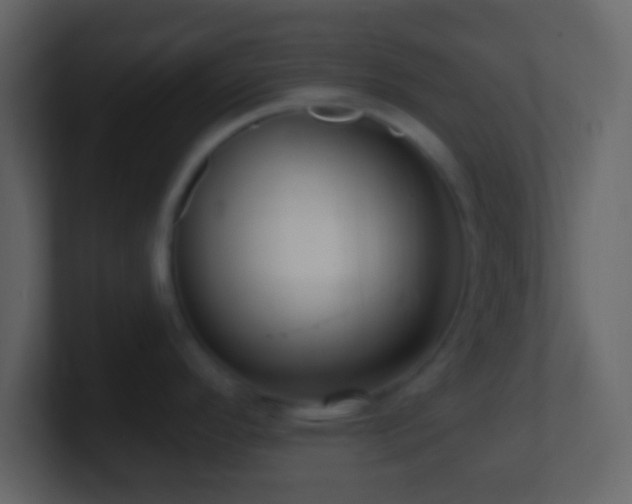 X0000101401296200807071210