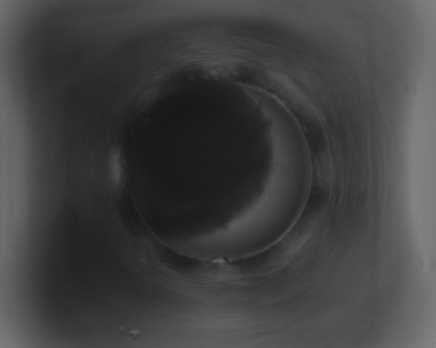 X0000101401298200807071210