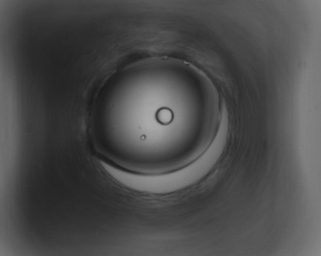 X0000101401300200807071210