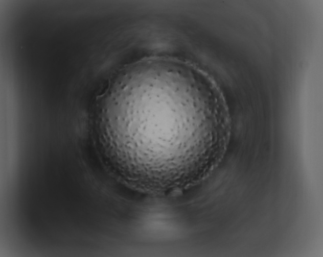 X0000101401301200807071210