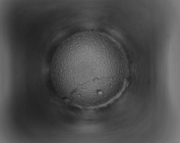 X0000101401302200807071210