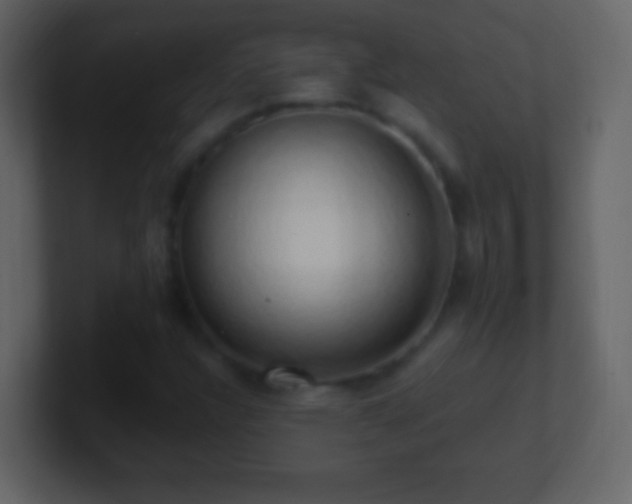X0000101401304200807071210