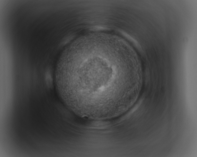 X0000101401305200807071210