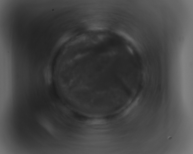 X0000101401306200807071210