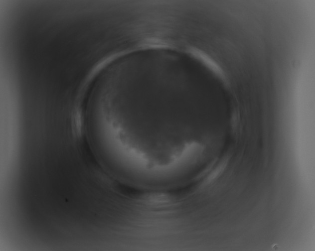 X0000101401310200807071210