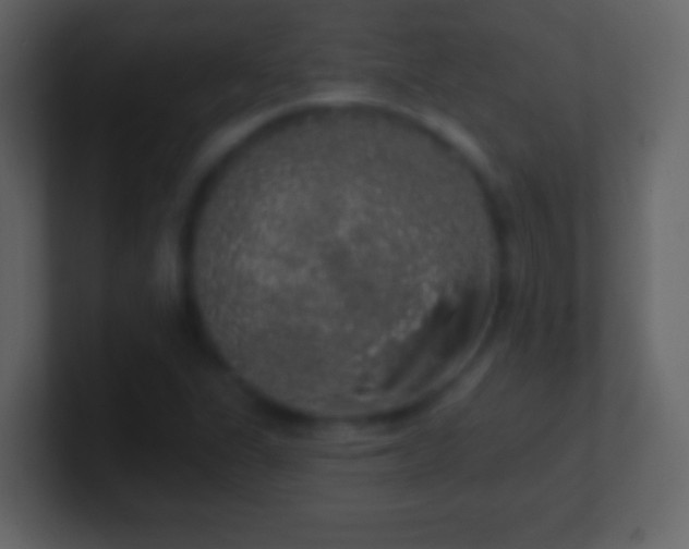 X0000101401311200807071210