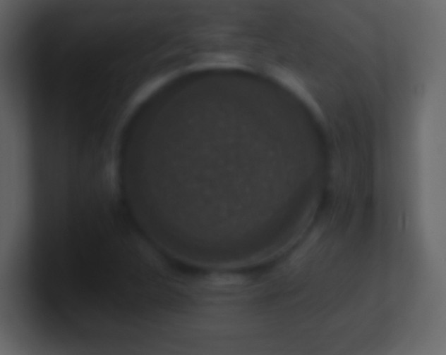 X0000101401312200807071210