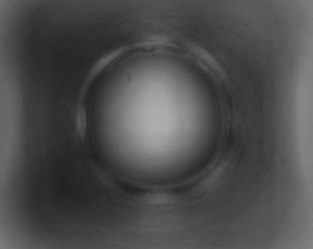X0000101401320200807071210