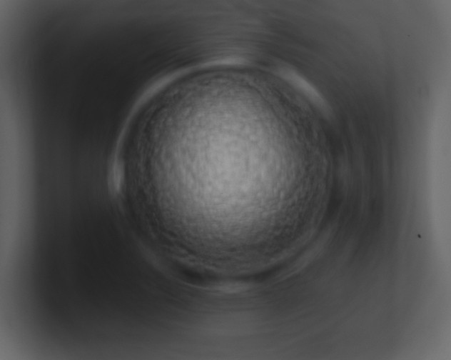 X0000101401324200807071210
