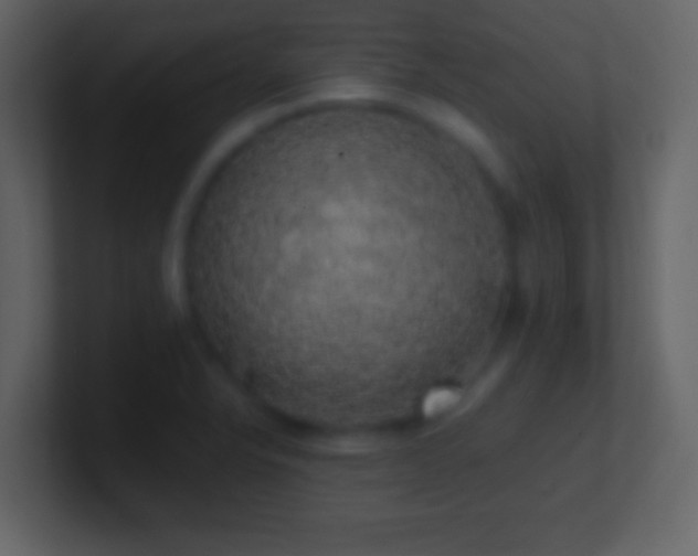 X0000101401326200807071210