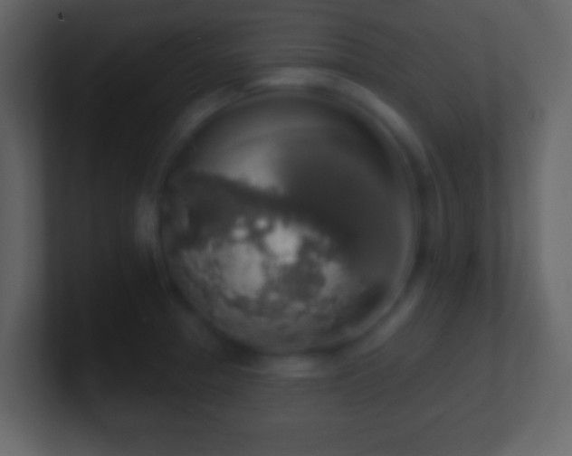 X0000101401329200807071210