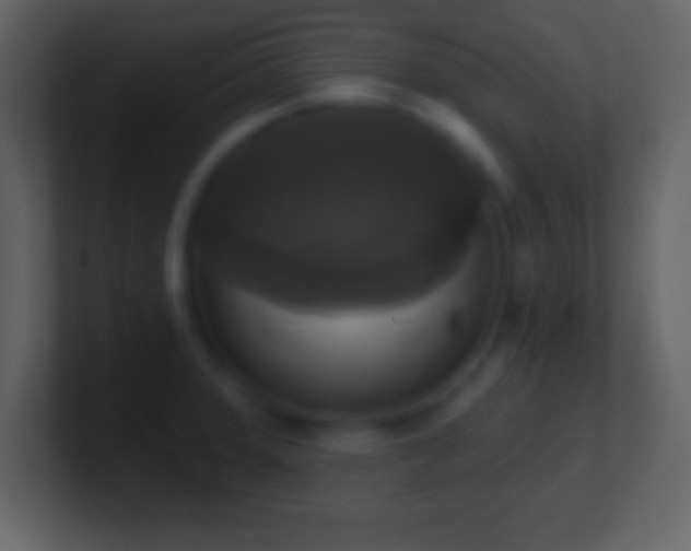 X0000101401331200807071210