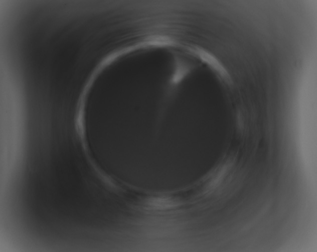 X0000101401334200807071210