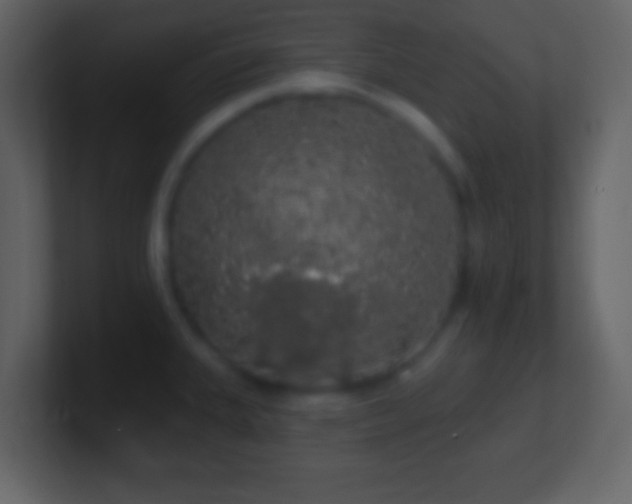 X0000101401335200807071210