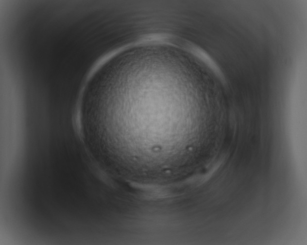 X0000101401336200807071210