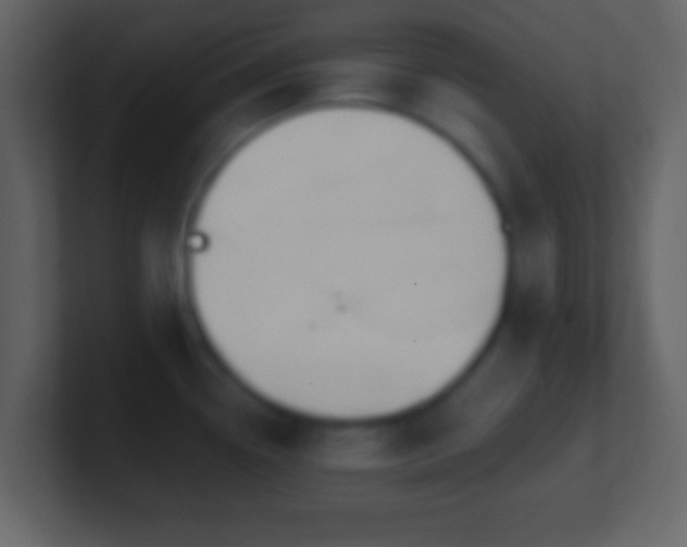 X0000101401338200807071210