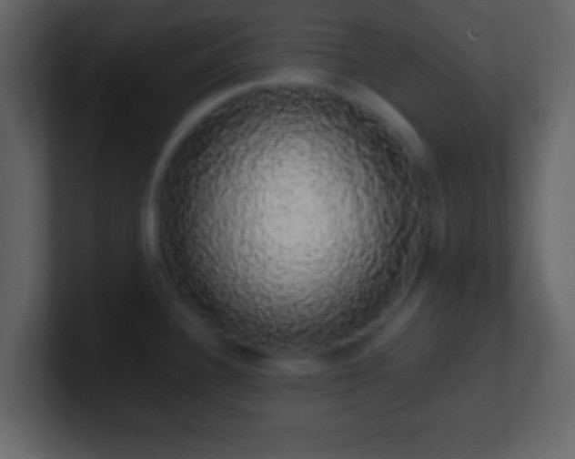 X0000101401340200807071210