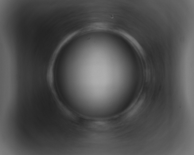 X0000101401341200807071210
