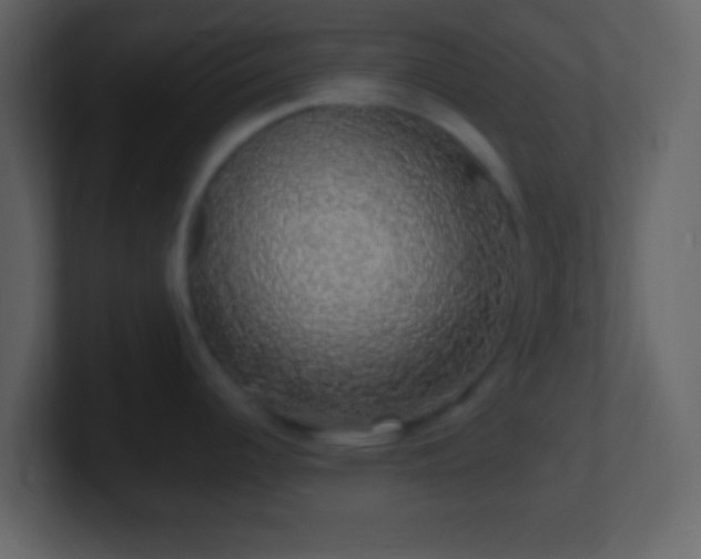 X0000101401344200807071210
