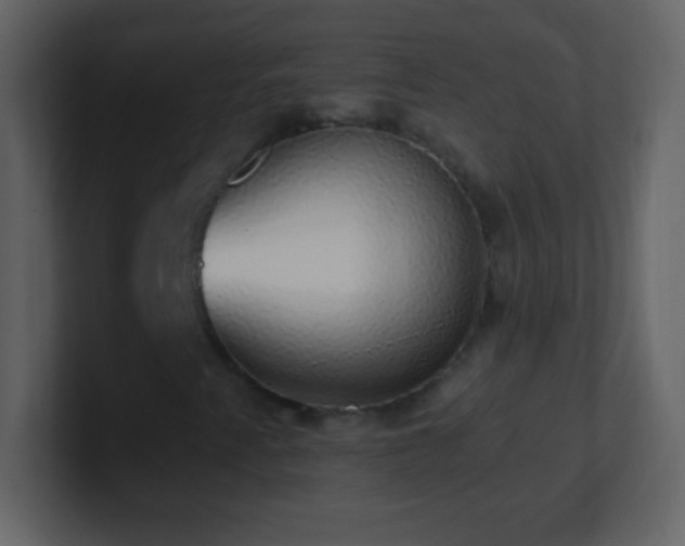 X0000101401345200807071210