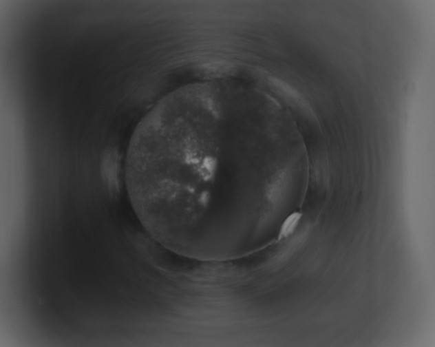 X0000101401346200807071210