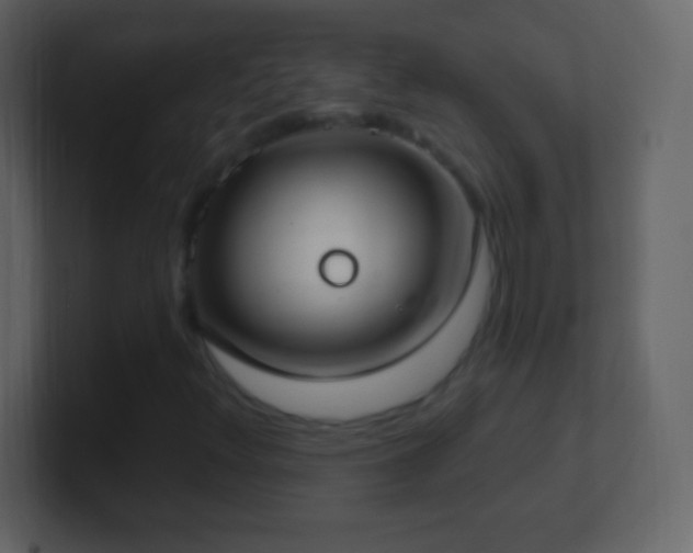 X0000101401348200807071210