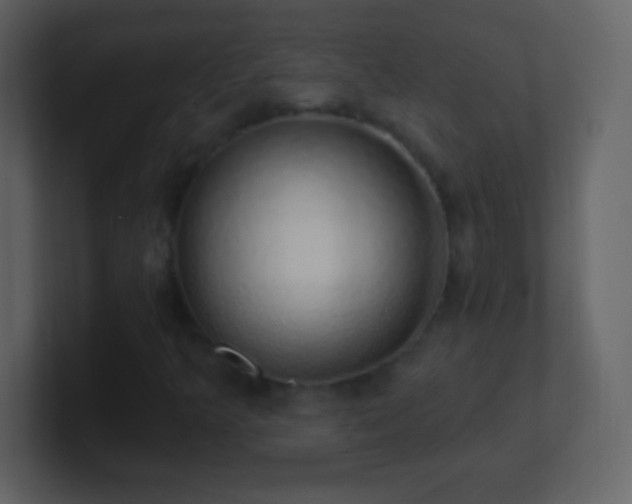 X0000101401349200807071210