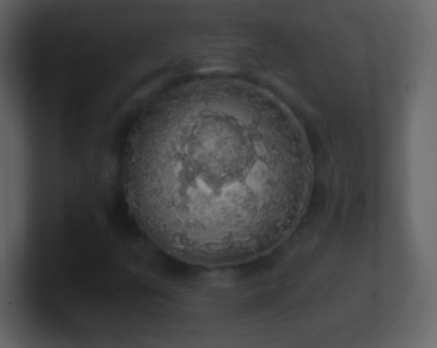 X0000101401351200807071210