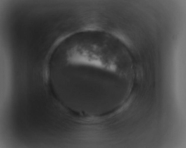 X0000101401358200807071209