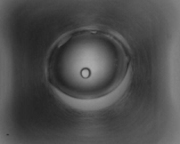 X0000101401360200807071209