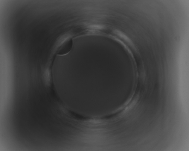 X0000101401362200807071209