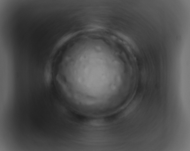 X0000101401363200807071209
