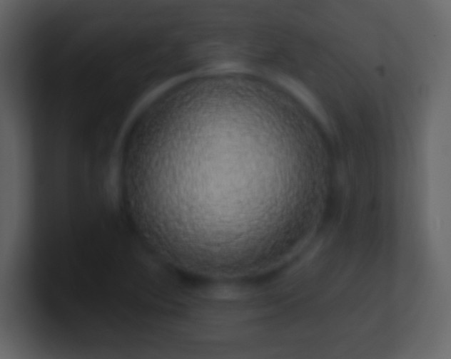 X0000101401364200807071209
