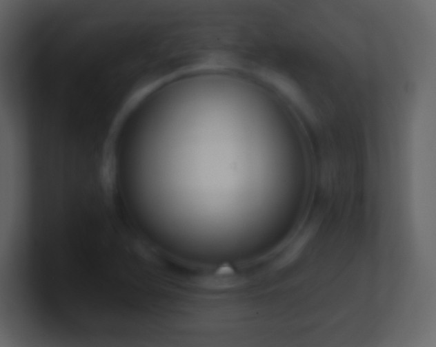 X0000101401366200807071209