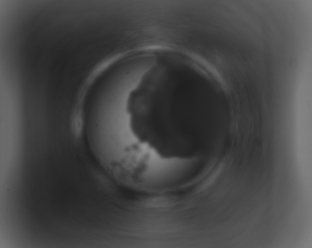 X0000101401367200807071209