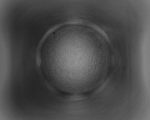 X0000101401368200807071209
