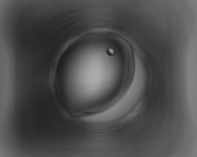 X0000101401369200807071209