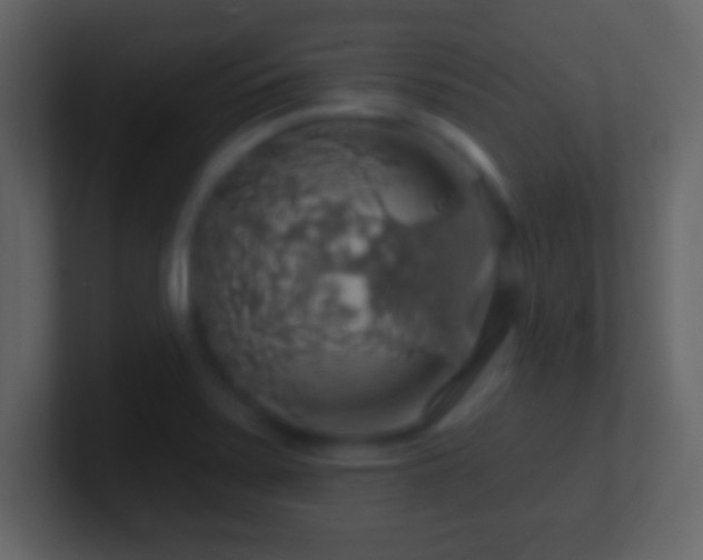 X0000101401371200807071209