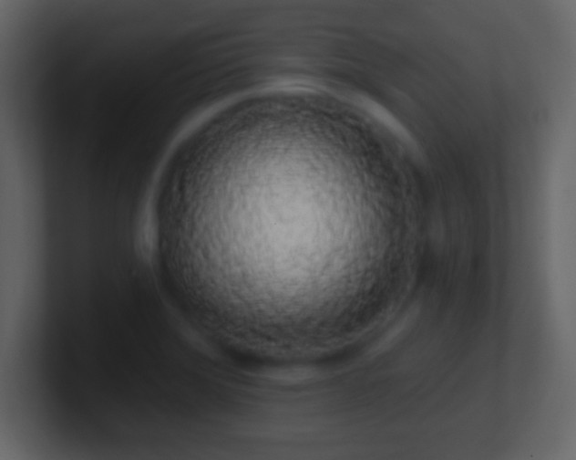 X0000101401372200807071209