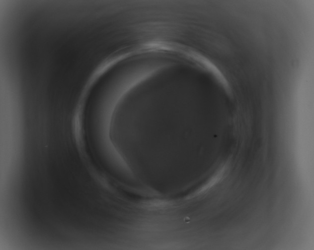 X0000101401373200807071209