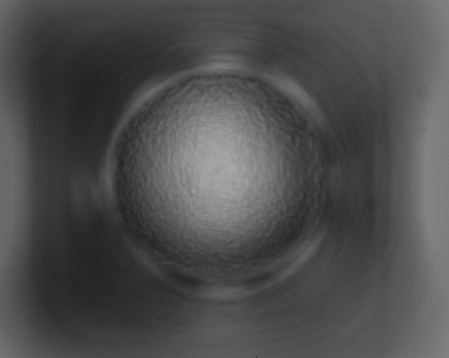 X0000101401374200807071209